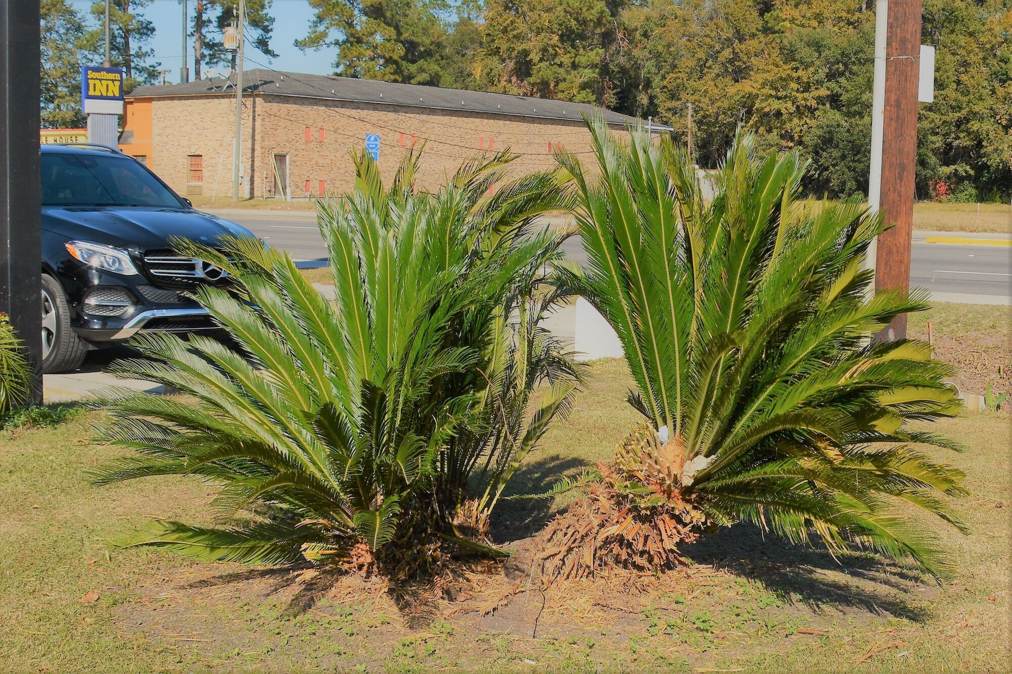 Travelodge By Wyndham Walterboro